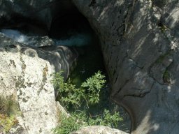 DSC_0181-202-800-600-80