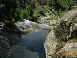 DSC_0183-203-800-600-80