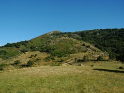 DSC_0246-205-800-600-80