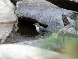 DSC_0269-165-800-600-80