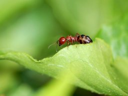 DSC_0281-168-800-600-80