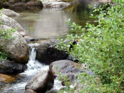 DSC_0316-172-800-600-80