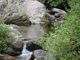 DSC_0317-173-800-600-80