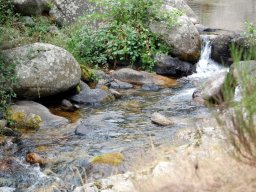 DSC_0318-174-800-600-80