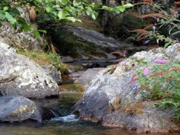 DSC_0333-175-800-600-80