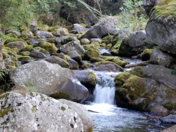 DSC_0339-176-800-600-80