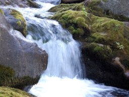 DSC_0341-177-800-600-80