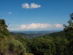 DSC_6330-666-800-600-80