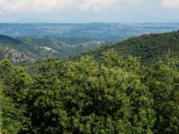 DSC_6331-668-800-600-80