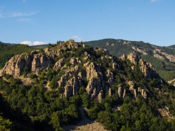 DSC_6363-676-800-600-80