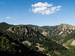 DSC_6364-678-800-600-80