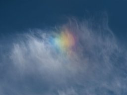 DSC_6370-680-800-600-80