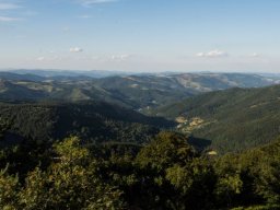 DSC_6375-684-800-600-80