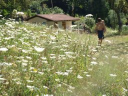 P8155939-145-800-600-80