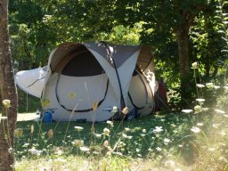 P8155964-147-800-600-80